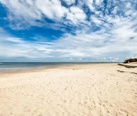 Reve D'ocean Climatisee * Gujan-Mestras