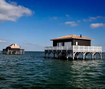 Reve D'ocean Climatisee * Gujan-Mestras