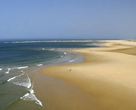 Reve D'ocean Climatisee * Gujan-Mestras